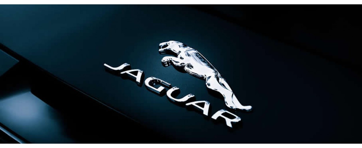 Jaguar (Spor Paspas)