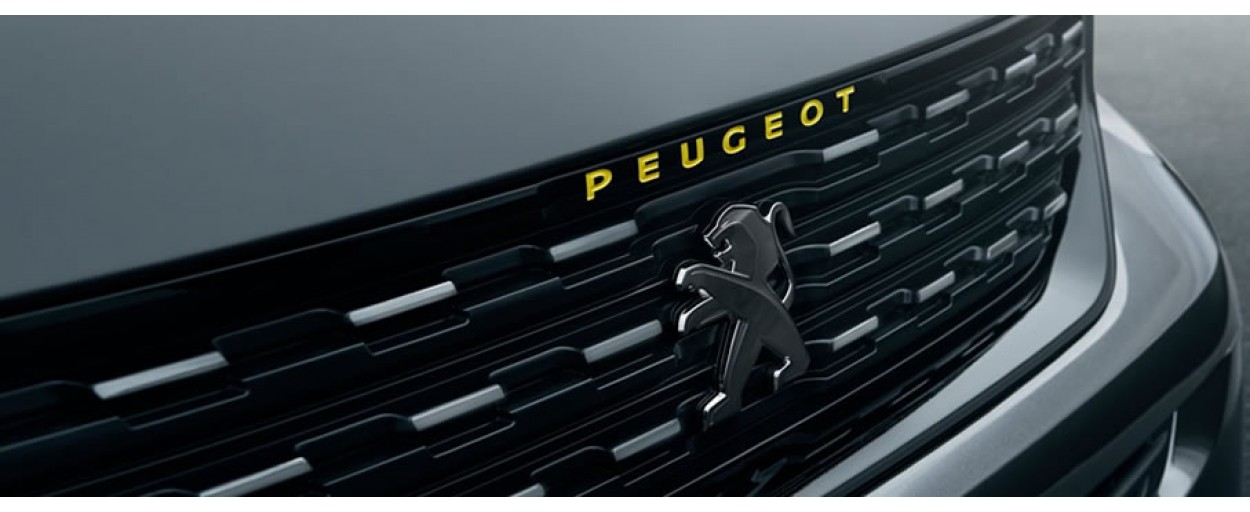 Peugeot (3D Havuzlu Paspas)